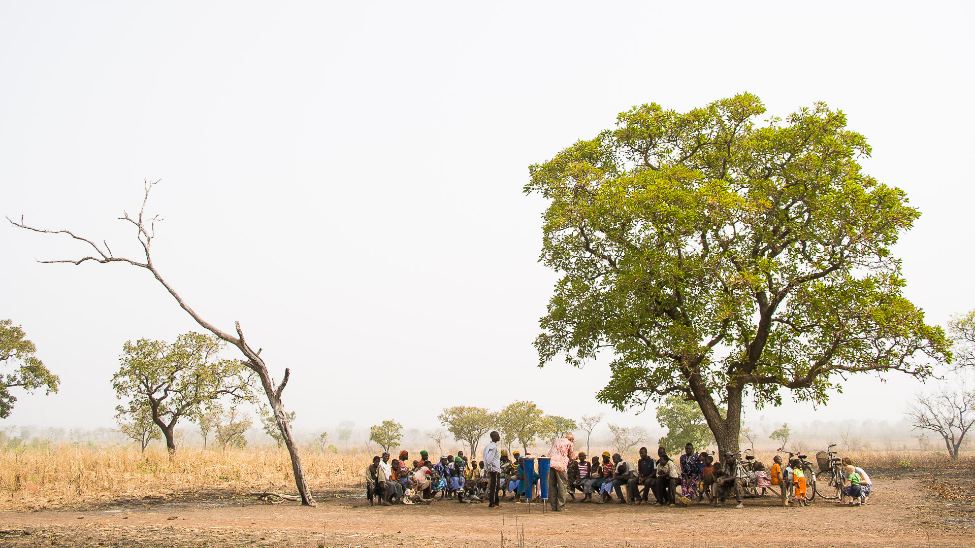 A church meets under a tree in Ghana. 