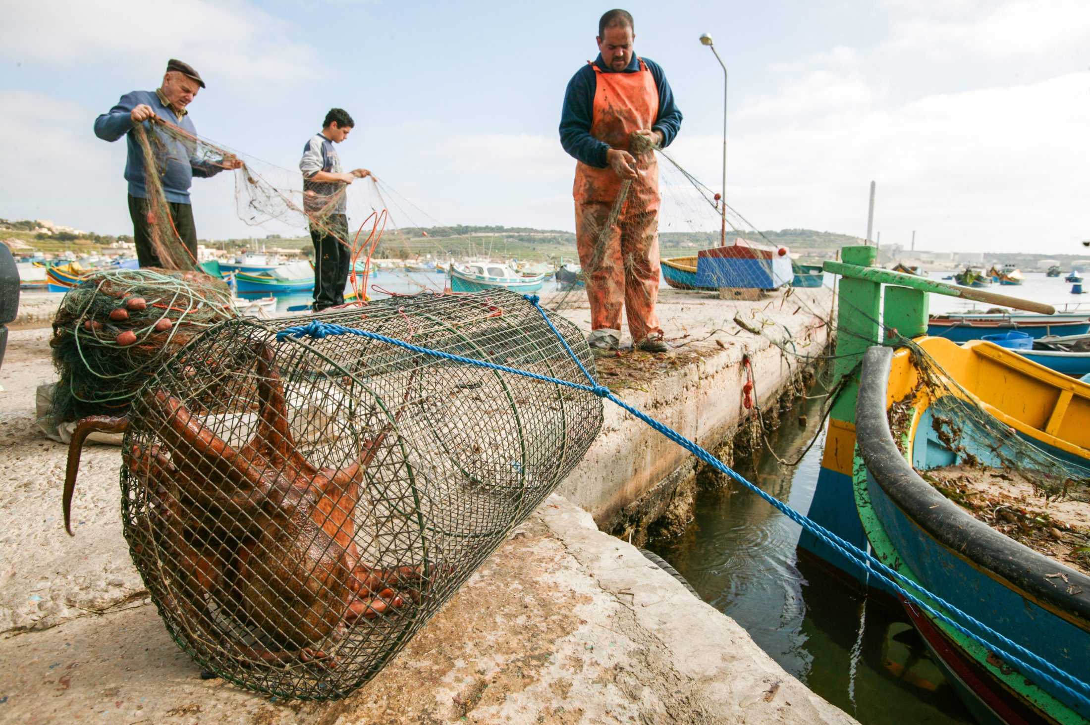 Caught an Octopus IMB