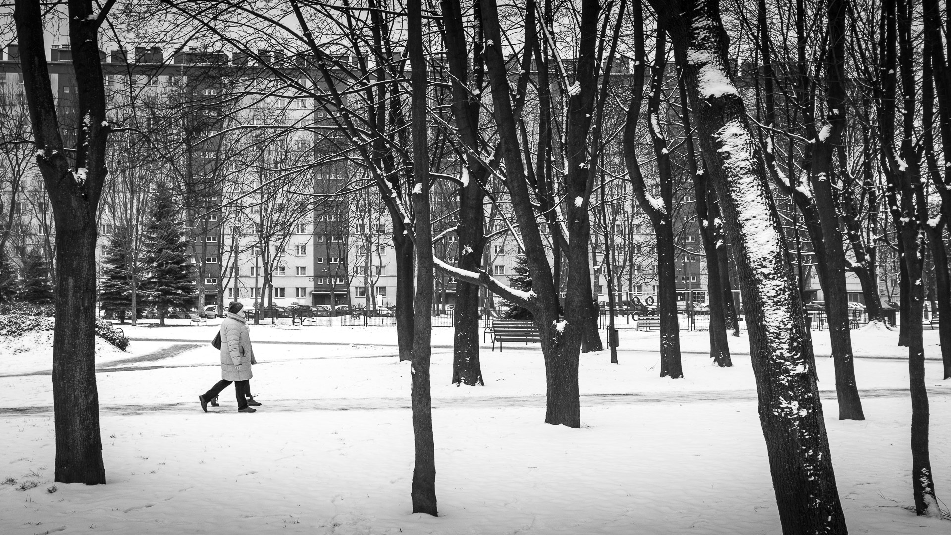 Snow covers the ground outside the apartment blocks of Nowa Huta. 