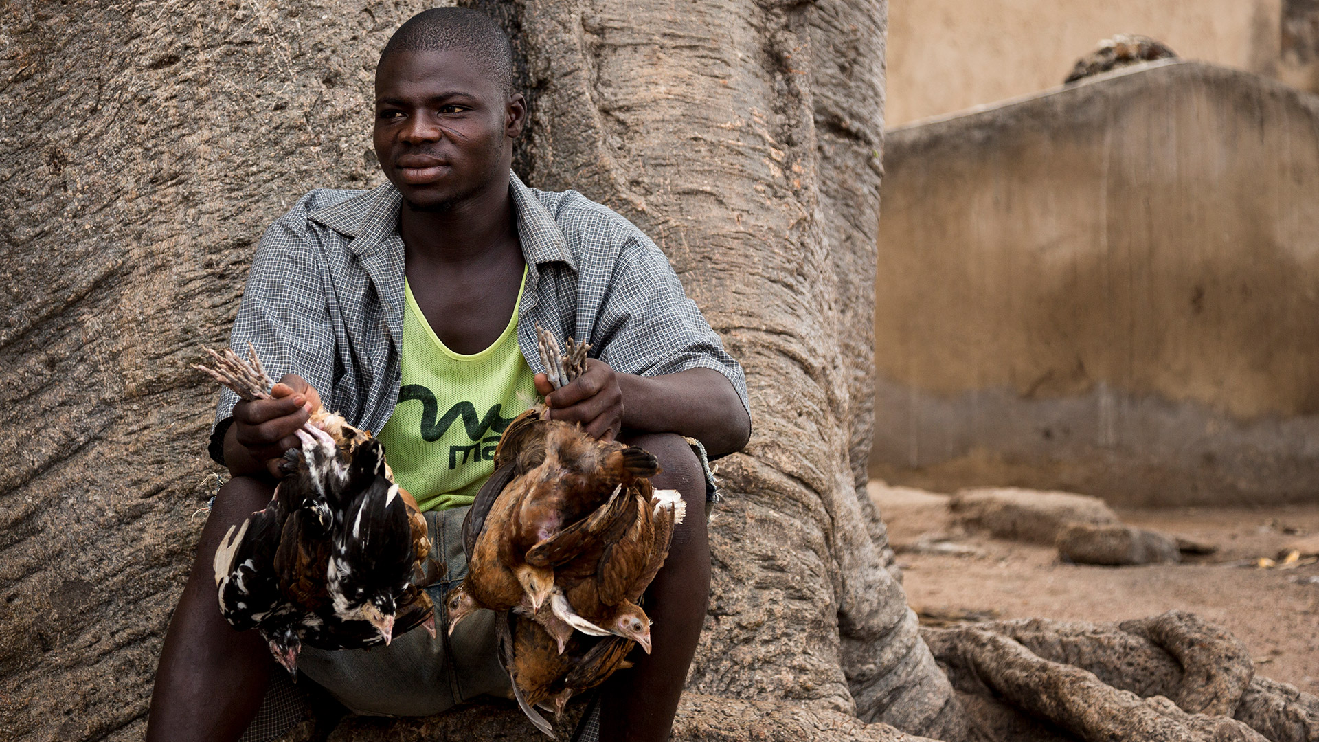 Power in the Blood: Animal Sacrifice in West Africa - IMB