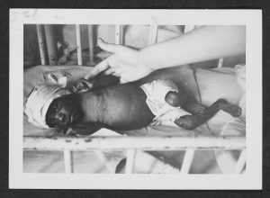 A starving baby is delivered to the Home for Motherless Children.