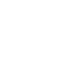 55 in 5 logo
