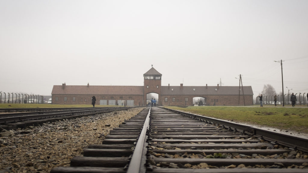 The most famous scene from the Birkenau death camp. The Nazis brought entire trainloads of people into the camp, nearly all Jews, and most were immediately sent to the gas chambers.