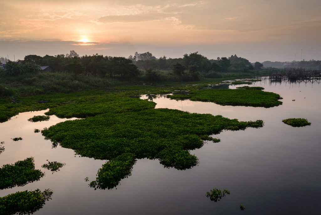 The sun sets over a marshy shoreline in Cambodia.