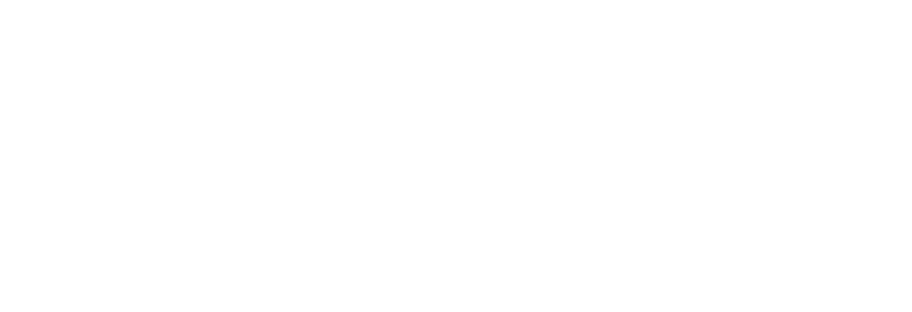 IMB Logo Wordmark Horizontal White